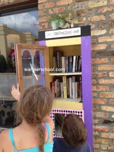 mini library