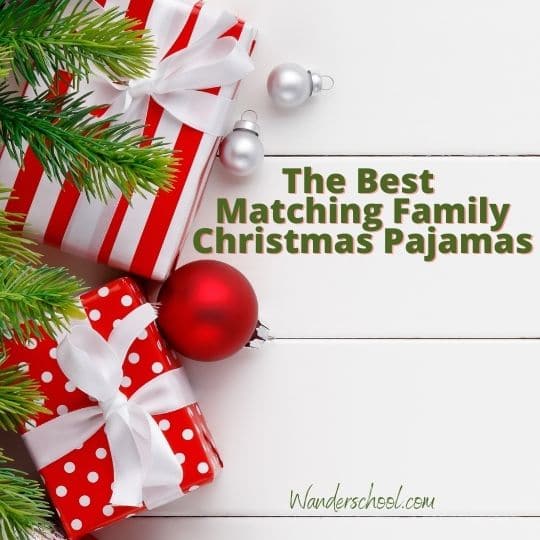 The Best Cozy Matching Family Christmas Pajamas - Wanderschool